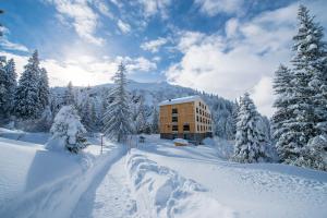 SchwandenBerghotel Mettmen的雪地中的一座建筑,有雪覆盖的树木