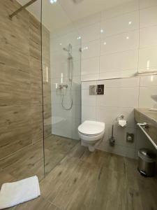 KaupenFerienhof Bludnik的一间带卫生间和玻璃淋浴间的浴室