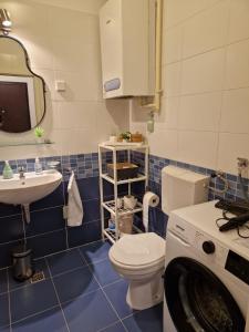 赛斯韦泰Apartment Rose的浴室配有卫生间、盥洗盆和洗衣机。
