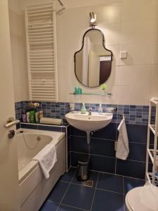 赛斯韦泰Apartment Rose的一间带水槽、浴缸和镜子的浴室
