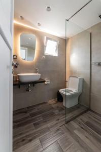海若克利欧Elegant Fully Equipped Apartment near City Centre的一间带水槽、卫生间和镜子的浴室