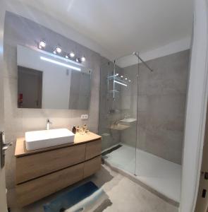 圣马克西姆Appartement Anna Grande Vue Mer的一间带水槽和淋浴的浴室