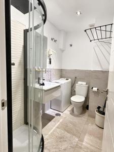 马拉加Tennessee Urban Suites的浴室配有卫生间、盥洗盆和淋浴。