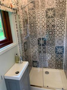 霍尔斯沃西Lilliput - Delightful 1-bedroom shepherd's hut的带淋浴和盥洗盆的浴室