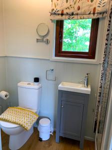 霍尔斯沃西Lilliput - Delightful 1-bedroom shepherd's hut的一间带卫生间、水槽和窗户的浴室