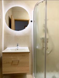 马里博尔Guest house Stara lipa Tašner - free parking & kitchenette的浴室配有盥洗盆和带镜子的淋浴