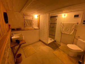 门登Art Boutique Budget Apartment im Hinterhof Menden Altstadt的浴室配有卫生间、淋浴和盥洗盆。