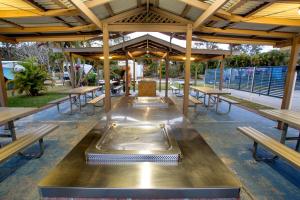 布伦瑞克黑兹Reflections Ferry Reserve - Holiday Park的一间设有木桌、长凳和烧烤架的自助餐厅