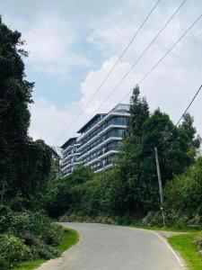 努沃勒埃利耶Avenue Nuwara Eliya的道路一侧的建筑物