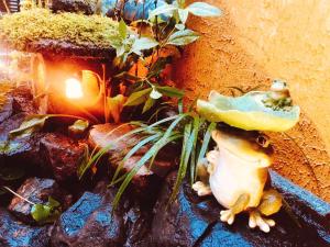 奈良Nara Ryokan的植物旁边一只带蘑菇的青蛙