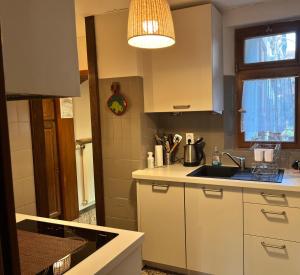 维桑堡Maison Dietenbeck的厨房配有白色橱柜、水槽和窗户。