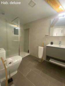马德里Casa Sergio的浴室配有卫生间、盥洗盆和淋浴。
