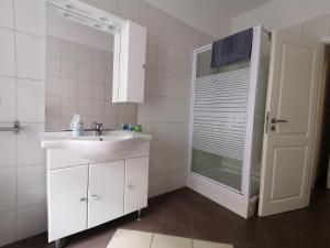 格尔利茨吉娜膳食公寓的白色的浴室设有水槽和淋浴。