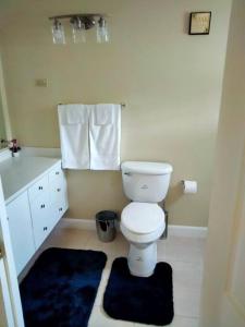 金斯敦Comfy Seascape Retreat near Kingston Airport的浴室设有白色卫生间和蓝色地毯。