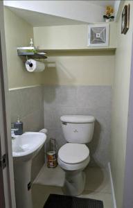 金斯敦Comfy Seascape Retreat near Kingston Airport的一间带卫生间和水槽的小浴室