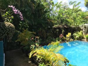 马拉利库兰Marari Dreamz Homestay的花园内的游泳池