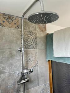 埃斯托伊Quinta da Boa Sorte的带淋浴喷头的浴室