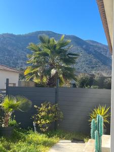 卢恰纳Maison T1 bis Corse的山前有棕榈树的围栏