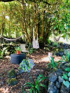 圣罗克杜皮库Quinta Pereirinha Farm, Pico Island, Azores - A Private 3 Bedroom Oasis on a Working Farm with Ocean View, Close to Swimming & Hiking Trails的一个带吊床的花园,以及一些植物和树木