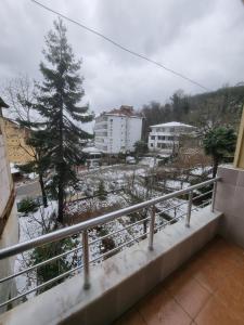 亚洛瓦Thermal Orkide Pansiyon的阳台享有城市的雪景