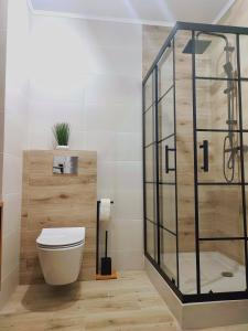 吉日茨科Apartament DanHouse的一间带卫生间和玻璃淋浴间的浴室
