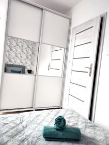 吉日茨科Apartament DanHouse的镜子间的床上绿色枕头