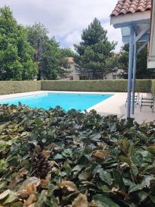 比斯卡罗斯Mignon appartement en résidence avec piscine的游泳池旁的绿色植物