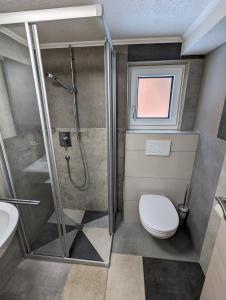 卡普尔Ferienhaus Fatlar的带淋浴、卫生间和盥洗盆的浴室