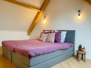 佐特兰德't Soute Land的一间卧室配有一张带紫色床单和枕头的床。