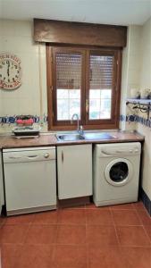 纳瓦塞拉达Apartamento en Navacerrada的厨房配有水槽和洗衣机