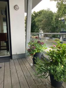 弗雷兴Ferienwohnung in der Nähe von Köln的两株盆栽植物坐在阳台的门廊上