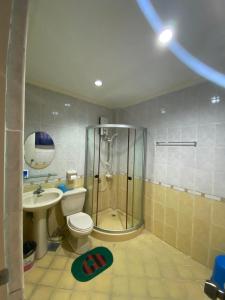 美岸ROMY'S PLACE - ENTIRE 3RD FLOOR APARTMENT的带淋浴、卫生间和盥洗盆的浴室