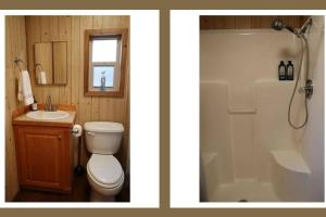 SteinhatcheeDriftwood Cabin - 2nd Street的浴室的两张照片,配有卫生间和水槽