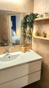 埃拉特VILLA SHUNIT- וילה שונית by barak royal suites的一间带水槽和镜子的浴室