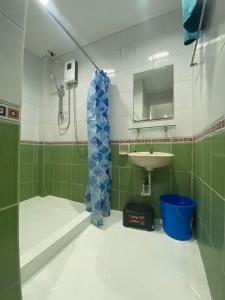 美岸ROMY'S PLACE - ENTIRE 2ND FLOOR APARTMENT的一间带水槽和淋浴的小浴室