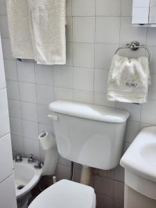 拉里奥哈Mi lugarcito的浴室配有卫生间、水槽和毛巾。