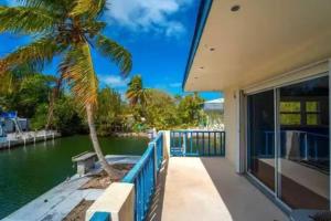 大松礁岛Boater's Dream House on the water 150' of Sea Wall的水边有棕榈树的房子