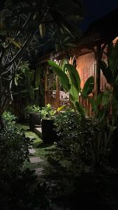 塞米亚克Moson Villa Legian的植物和建筑的夜间花园