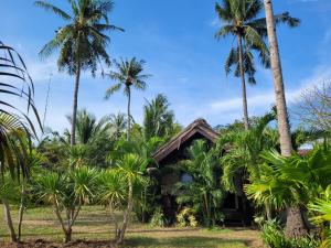 吉利特拉旺安拉姆善意旅馆的棕榈树中间的房子