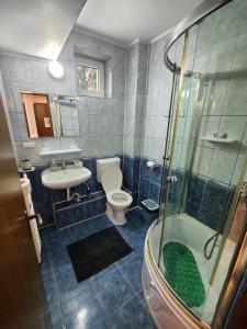 锡纳亚Casa Adina的浴室配有卫生间、盥洗盆和淋浴。