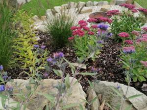 奥什恰德尼察Chata Kolmanovci的种有紫色和粉红色花卉和岩石的花园