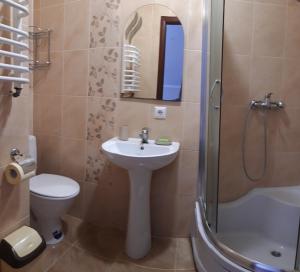 特鲁斯卡韦茨Гостьовий будинок "Natali"的一间带水槽、卫生间和淋浴的浴室