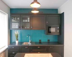 约纳瓦Apartment Secret的厨房配有黑色橱柜、水槽和微波炉