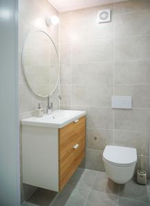 约纳瓦Apartment Secret的一间带卫生间、水槽和镜子的浴室