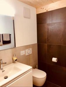格林德尔瓦尔德Chalet CARVE - Apartments EIGER, MOENCH and JUNGFRAU的浴室配有白色卫生间和盥洗盆。