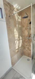 萨林德吉罗Appartement au coeur des rizières的浴室里设有玻璃门淋浴