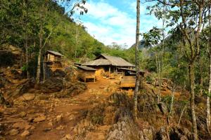 木州县Hoa Phong homestay Moc Chau的森林中间的一群小屋