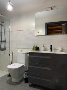 卡韦苏埃拉德尔瓦列Apartamentos en el Valle del Jerte Flores para Angela的一间带卫生间、水槽和镜子的浴室