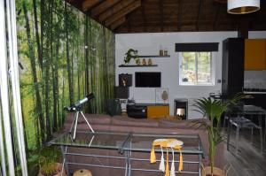 埃尔帕索La Palma Wild Life的带沙发和大窗户的客厅
