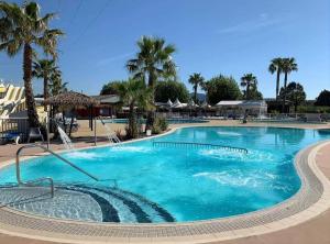 弗雷瑞斯Mobilhome Zen Azur Montourey的一座拥有蓝色海水和棕榈树的大型游泳池